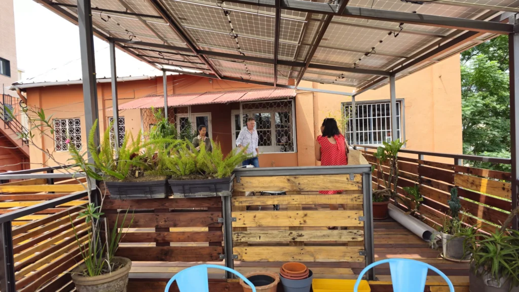 carambole 3 scaled.webp