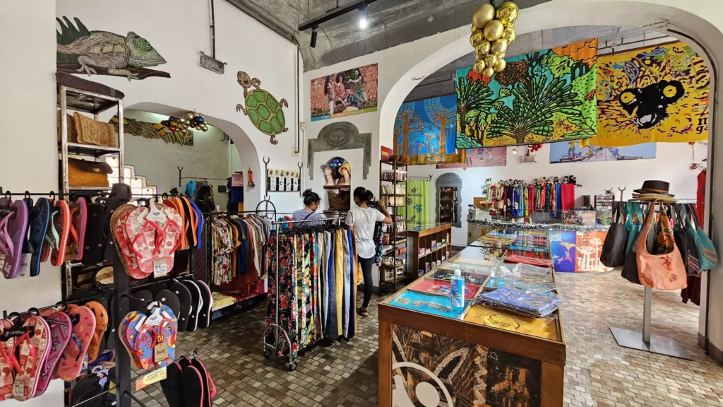 carambole 5 scaled.webp